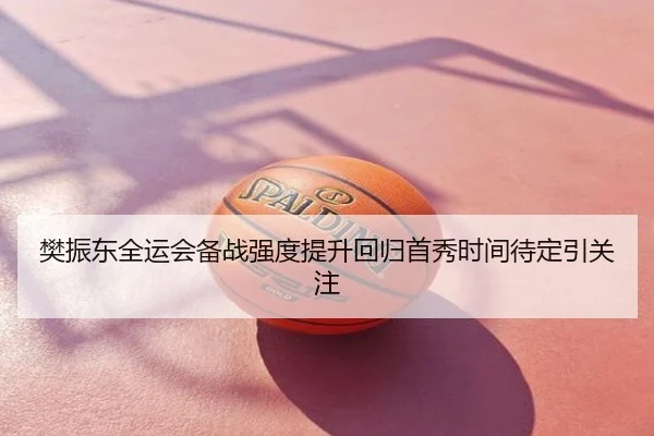 樊振东全运会备战强度提升回归首秀时间待定引关注