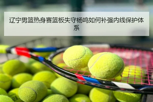 辽宁男篮热身赛篮板失守杨鸣如何补强内线保护体系
