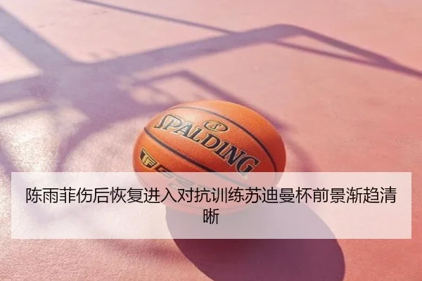 陈雨菲伤后恢复进入对抗训练苏迪曼杯前景渐趋清晰